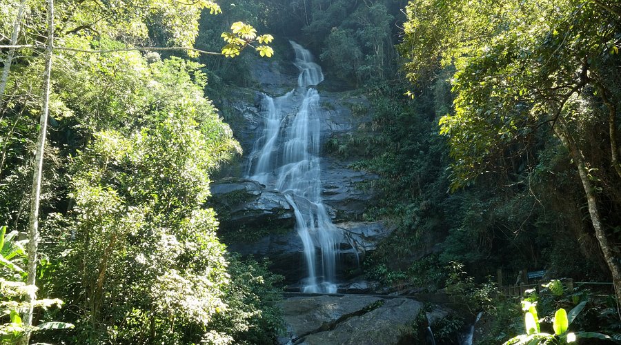 Tijuca Forest Jeep Tour